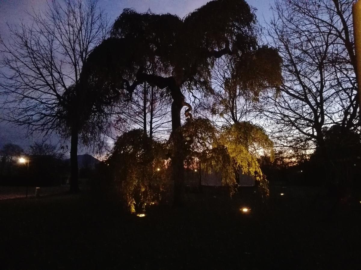 Agriturismo La Sophora Montegaldella Zewnętrze zdjęcie