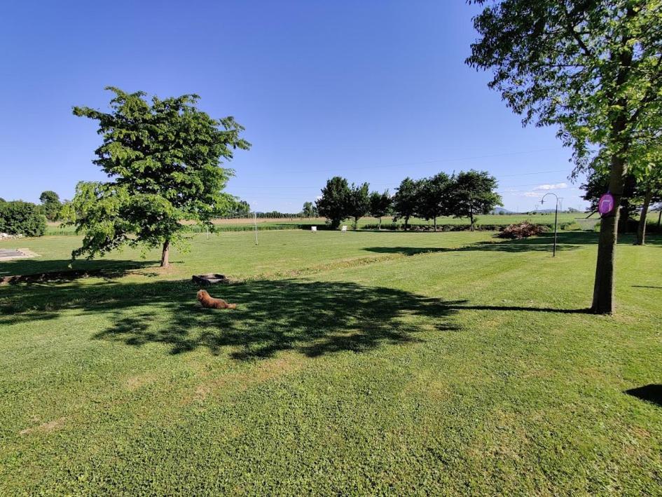 Agriturismo La Sophora Montegaldella Zewnętrze zdjęcie